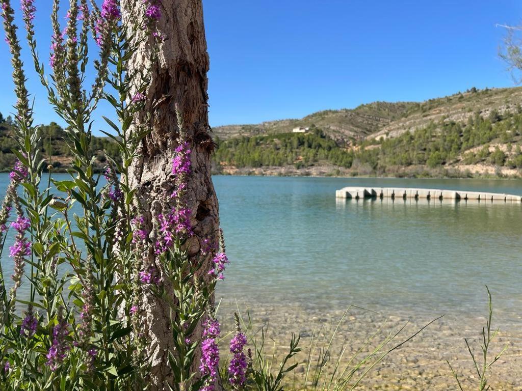 Hébergement de vacances Casa Du Voyage *